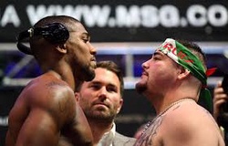 Anthony Joshua có thể tái đấu Andy Ruiz tại Mỹ