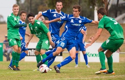 Nhận định, dự đoán Melbourne Knights vs Dandenong City 16h45, 21/06