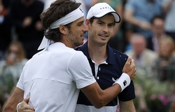 Andy Murray loại đôi hạt giống số 1 của Queen's