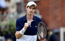 Andy Murray tìm được bạn đánh đôi dự Wimbledon và đang toan tính càng nhiều hơn thế