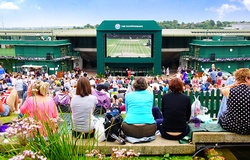 Truyền hình MyTV trực tiếp Wimbledon, giải tennis uy tín nhất thế giới