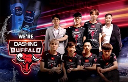 Phỏng vấn DBL trước thềm Rift Rivals 2019: "DBL và G2 từng có một game đấu đẫm máu với 80 kill"