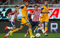 Chuyên gia dự đoán Fiorentina vs Chivas (ICC 2019)