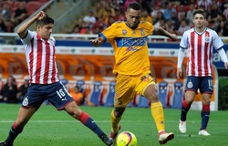 Máy tính dự đoán Fiorentina vs Chivas (ICC 2019)