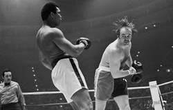 Câu chuyện của Chuck Wepner, Rocky Balboa của đời thật