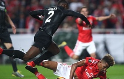 Mèo tiên tri dự đoán Benfica vs Chivas (ICC 2019)