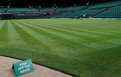 Wimbledon biến động trong 50 năm qua: Nhìn mặt sân, đoán lối chơi!