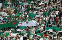Chung kết CAN Cup 2019: Algeria huy động 28 máy bay chở 4.800 CĐV sang Ai Cập
