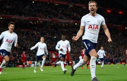 Mèo tiên tri dự đoán Juventus vs Tottenham (ICC 2019)