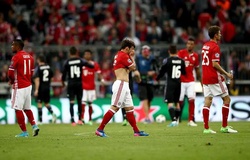 Mèo tiên tri dự đoán Real Madrid vs Bayern Munich (ICC 2019)