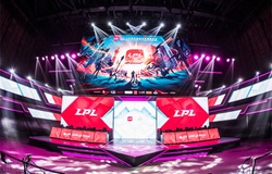 Trực tiếp LPL mùa hè 2019: JDG vs DMO (16h00) - IG vs FPX (19h00)