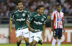 Nhận định Godoy Cruz vs Palmeiras 07h30, 24/07 (Vòng 1/8 Copa Libertadores 2019)