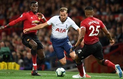 Mèo tiên tri dự đoán Tottenham vs MU (ICC 2019)