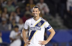 Ibrahimovic đối mặt với án phạt nặng vì thúc cùi chỏ lõm mặt đối thủ