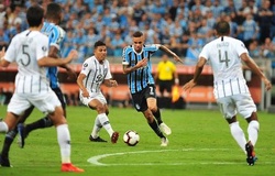 Link xem bóng đá trực tuyến Gremio vs Libertad (07h30, 26/7)