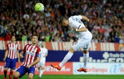 Mèo tiên tri dự đoán Real Madrid vs Atl Madrid (ICC 2019)