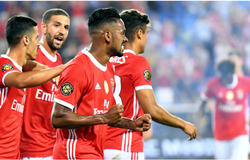Mèo tiên tri dự đoán AC Milan vs Benfica (ICC 2019)
