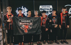 VCS mùa hè 2019: DBL vs FL - 19h00 ngày 27/07