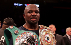 WBC cắt quyền khiêu chiến Deotay Wilder của Dillian Whyte vì doping