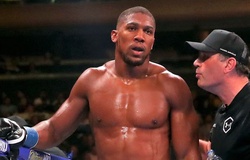 Anthony Joshua tìm lại bản thân trước trận tái đấu Ruiz