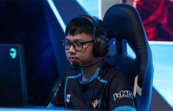 Lịch thi đấu LPL Mùa Hè 2019 tuần cuối cùng của vòng bảng