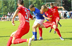 Link xem bóng đá trực tuyến Hallescher vs Wolfsburg (23h30, 12/8)