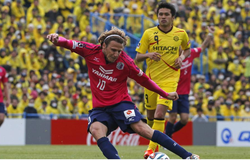 Soi kèo Renofa vs Cerezo Osaka 17h00, 14/08 (Cúp hoàng đế Nhật Bản)