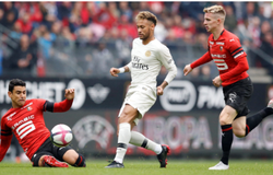 Soi kèo Rennes vs PSG 02h00, 19/08 (Vòng 2 VĐQG Pháp)