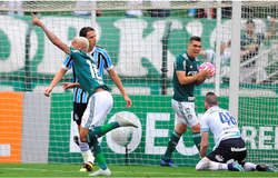 Soi kèo Gremio vs Palmeiras 07h30, 21/08 (Copa Libertadores)