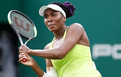 Trước thềm giải quần vợt US Open 2019: Phát hiện "thần dược" của Venus Williams