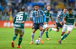 Link xem bóng đá trực tuyến Gremio vs Palmeiras (07h30, 21/8)