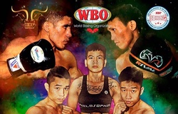 Trận tranh đai Boxing WBO Oriental sẽ diễn ra tại TP.HCM