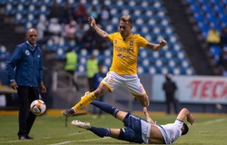 Link xem bóng đá trực tuyến Tigres UANL vs Club America (09h30, 25/8)