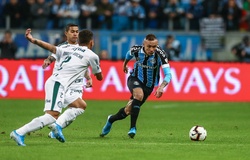 Soi kèo bóng đá Palmeiras vs Gremio 7h30, 28/8 (Copa Libertadores)