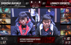 Dashing Buffalo vs Lowkey Esports: 1 mục tiêu, 2 tâm thế