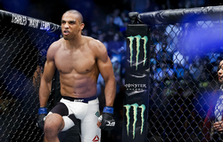 Võ sĩ Edson Barboza sẽ xuất hiện tại UFC 242 là ai?