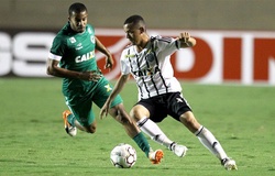 Link xem bóng đá trực tuyến Goias vs Palmeiras (07h00, 8/9)