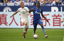 Dự đoán Paderborn vs Schalke 23h00, 15/09 (vòng 4 VĐQG Đức)