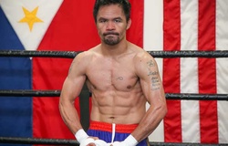 Đội Manny Pacquiao phủ nhận trận tái đấu với Floyd Mayweather