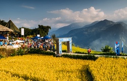 Nhà vô địch UTMB 2018 cùng gần 4000 VĐV tranh tài ở Vietnam Mountain Marathon 2019