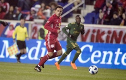 Link xem bóng đá trực tuyến Portland Timbers vs New York Red Bulls (09h30, 19/9)
