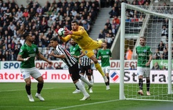 Dự đoán Newcastle vs Brighton 23h30, 21/09 (Vòng 6 NHA)