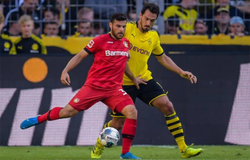 Xem trực tiếp Bayer Leverkusen vs Lokomotiv Moscow ở đâu, kênh nào?