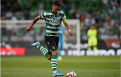 Xem trực tiếp PSV Eindhoven vs Sporting Lisbon ở đâu, kênh nào?