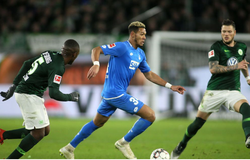 Dự đoán Wolfsburg vs Hoffenheim 01h30, 24/09 (VĐQG Đức)
