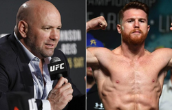 Canelo vs Sergey chiếu cùng lúc UFC 244, Dana “Họ điên cả hội”