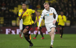 Nhận định Watford vs Swansea 01h45, ngày 25/09 (Cúp Liên đoàn Anh)