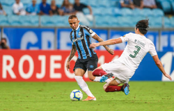 Dự đoán Fluminense vs Gremio 02h00, ngày 30/09 (VĐQG Brazil)