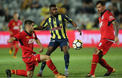 Nhận định Central Coast vs Adelaide United 16h30, 02/10 (Cúp liên đoàn Australia)