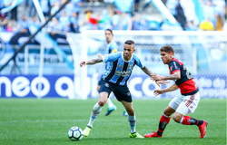 Nhận định Gremio vs Flamengo 07h30, 03/10 (Copa Libertadores)